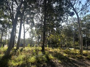 russellisland_86_320-Russell-Island-2025-09-26-041823-1