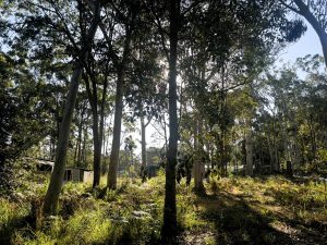 russellisland_86_320-Russell-Island-2025-09-26-041823-2