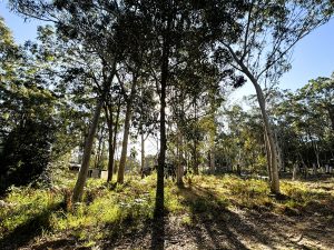 russellisland_86_320-Russell-Island-2025-09-26-041823-3