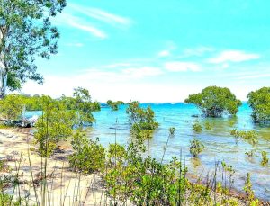 tbarclay_86_454-Macleay-Island-2025-09-29-015411-1