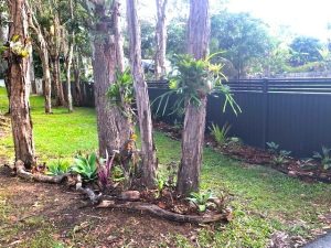 tbarclay_86_454-Macleay-Island-2025-09-29-015411-17