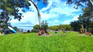 tbarclay_86_454-Macleay-Island-2025-09-29-015411-4