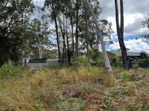 russellisland_86_338-Russell-Island-2025-10-20-220610-2