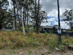 russellisland_86_338-Russell-Island-2025-10-20-220610-4