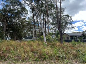 russellisland_86_338-Russell-Island-2025-10-20-220610-5