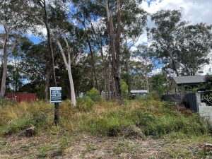 russellisland_86_338-Russell-Island-2025-10-20-220610-6