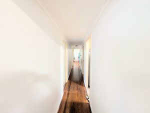 russellisland_86_355-Russell-Island-2025-10-28-043123-6