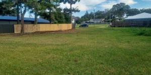 tbarclay_86_482-Macleay-Island-2025-10-15-054338