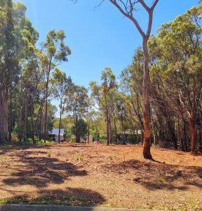 tbarclay_86_484-Macleay-Island-2025-10-20-035714