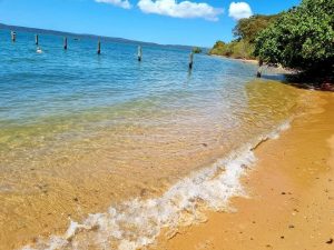 tbarclay_86_484-Macleay-Island-2025-10-20-035714-4