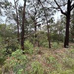 28 Cook Ave, Russell Island  QLD  4184