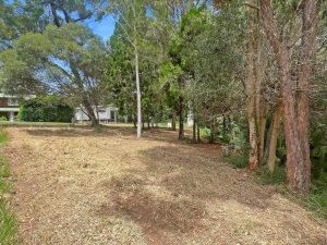 tbarclay_86_209-Macleay-Island-2025-06-16-022723-5