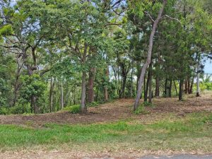 tbarclay_86_209-Macleay-Island-2025-06-16-022723-6