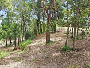 tbarclay_86_209-Macleay-Island-2025-06-16-022723-7