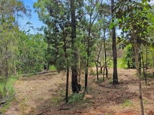 tbarclay_86_209-Macleay-Island-2025-06-16-022723-8