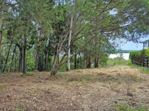 tbarclay_86_209-Macleay-Island-2025-06-16-022723-9