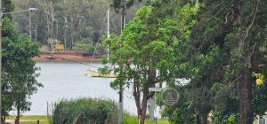 tbarclay_86_524-Russell-Island-2025-11-17-231752-3