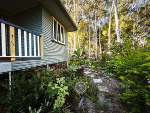tbarclay_86_556-Macleay-Island-2025-12-10-045459-2