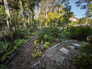 tbarclay_86_556-Macleay-Island-2025-12-10-045459-4