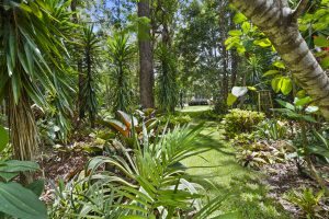 russellisland_86_470-Karragarra-Island-2026-01-22-001730-3