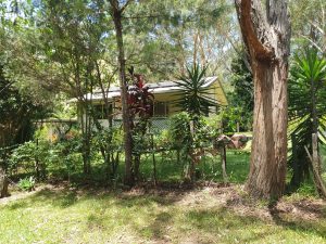 russellisland_86_473-Russell-Island-2026-01-21-033640-1