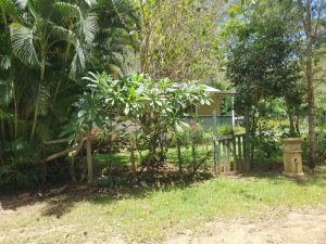 russellisland_86_473-Russell-Island-2026-01-21-033640-2