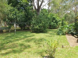 russellisland_86_473-Russell-Island-2026-01-21-033640-5