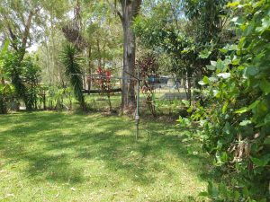 russellisland_86_473-Russell-Island-2026-01-21-033640-6