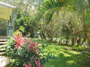 russellisland_86_473-Russell-Island-2026-01-21-033640-7