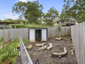 russellisland_86_476-Russell-Island-2026-01-28-013206-21