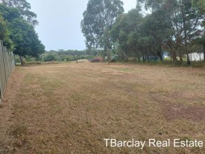 tbarclay_86_164-Russell-Island-2023-03-25-235716-3