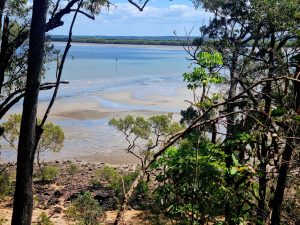 tbarclay_86_469-Macleay-Island-2026-01-02-233111-1