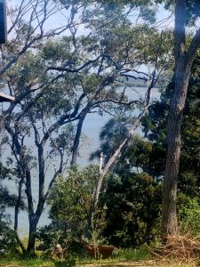 tbarclay_86_469-Macleay-Island-2026-01-02-233111-3