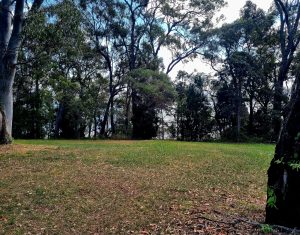 tbarclay_86_469-Macleay-Island-2026-01-02-233111-6