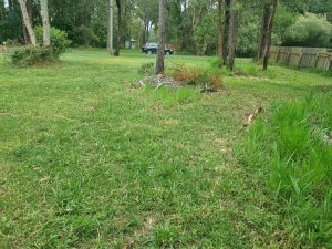 tbarclay_86_517-Macleay-Island-2025-11-11-031227-1
