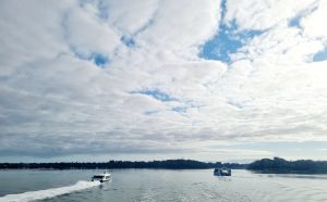 tbarclay_86_517-Macleay-Island-2025-11-11-031227-3