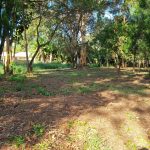14 Kevin St, Macleay Island  QLD  4184