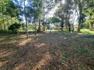 tbarclay_86_583-Macleay-Island-2026-01-14-092614-3