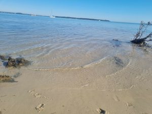 tbarclay_86_583-Macleay-Island-2026-01-14-092614-5