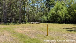 tbarclay_86_594-Lamb-Island-2026-01-17-014747-14