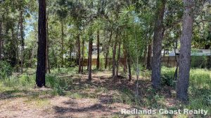 tbarclay_86_594-Lamb-Island-2026-01-17-014747-15