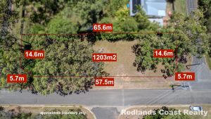 tbarclay_86_594-Lamb-Island-2026-01-17-014747