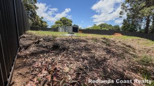 tbarclay_86_597-Russell-Island-2026-01-24-120526-4