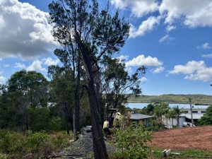 russellisland_86_478-Russell-Island-2026-02-11-022533-1