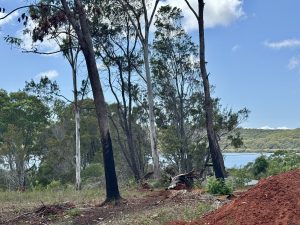 russellisland_86_478-Russell-Island-2026-02-11-022533-2