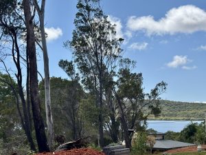 russellisland_86_478-Russell-Island-2026-02-11-022533-3