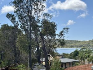 russellisland_86_478-Russell-Island-2026-02-11-022533