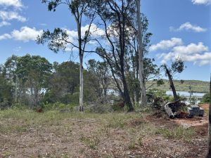 russellisland_86_478-Russell-Island-2026-02-11-022533-4