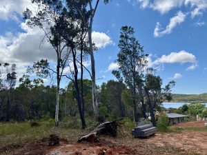 russellisland_86_478-Russell-Island-2026-02-11-022533-5