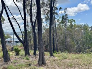 russellisland_86_478-Russell-Island-2026-02-11-022533-7